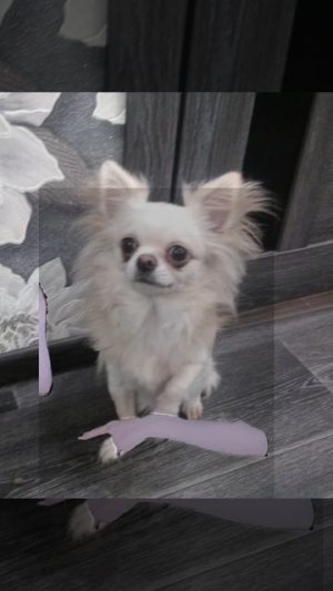 Говорить не могу