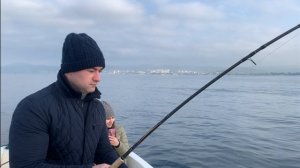 Прекрасный день, что бы поймать акулу в Чёрном море, а так же дельфины, 10.11.2025