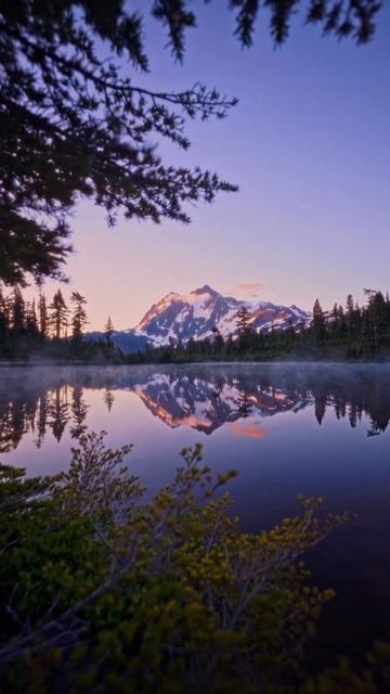 Fredo de Gaultier - Sparrow in the Rain #USA #forest #mountains #wildforest #treelovers #shadytrees смотреть онлайн