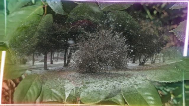 Друзья мои, вы только не теряйтесь. смотреть онлайн