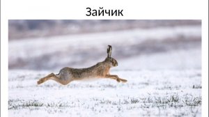 6. «Зайчик» из вокального цикла Виктора Калинникова «Десять детских песен»