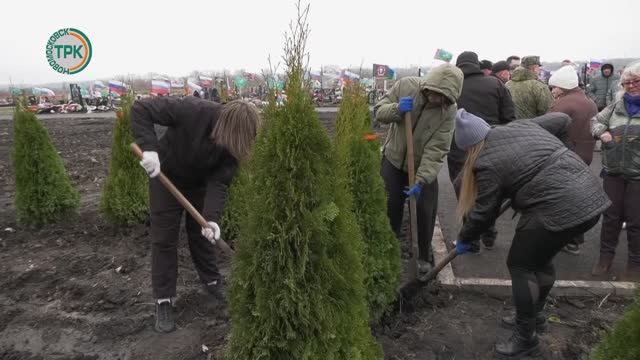 На городском кладбище в Аллее героев высажено 80 туй, в память о погибших бойцах СВО смотреть онлайн