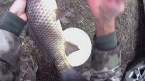 ЛОВЛЮ КАРПОВ в середине НОЯБРЯ