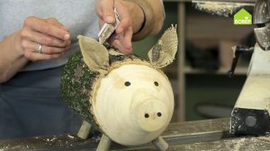 Свинья-копилка из кленового полена. Работаем на токарном станке