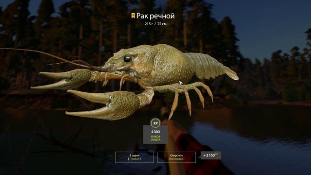 ⭐Трофейный Рак на р.Вьюнок ⭐Русская рыбалка 4🎣