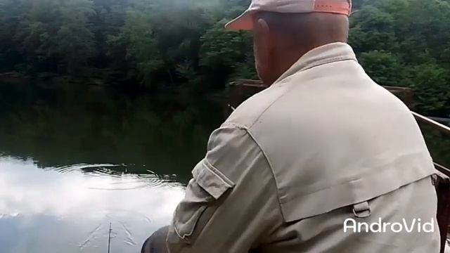 Ловля уклейки на опарыша в пруду.