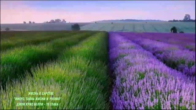 "Иисус. Тайна жизни и учения" / Джон Крис Велли / 10 глава смотреть онлайн