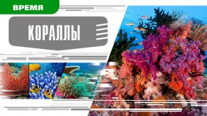 КОРАЛЛЫ. Аудиокнига. Время События Люди!