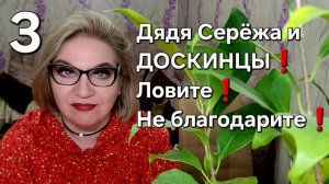 Дядя Серёжа и ДОСКИНЦЫ❗️Ловите❗️Не благодарите❗️