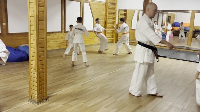 Семинар эншин каратэ в Уфе смотреть онлайн