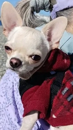 Привет, ноябрь! смотреть онлайн