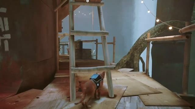 STRAY (СТРИМ 3)