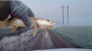 Осень. Джиг. Где зима?