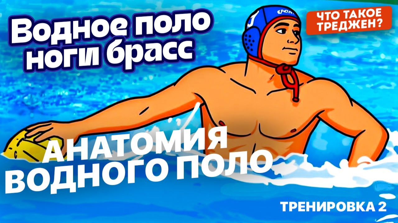 Анатомия Водного Поло-Тренировка 2 (Ноги брасс,Треджен)