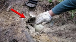 Жирная НАХОДКА Прямо на СТАРТЕ Порадовала, Коп возле КУРГАНА!!!