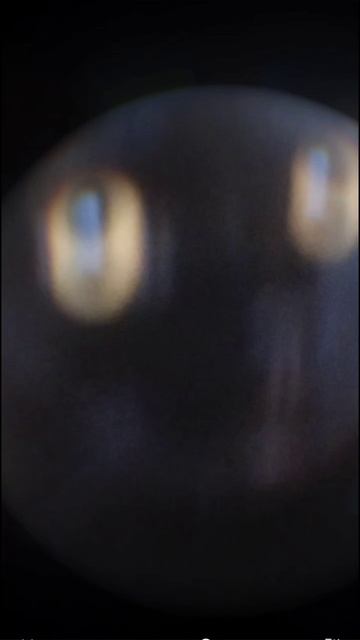 кого тоже тошнит от этого видео? кого тошнит этого видео быстро ставят лайки и подписываются