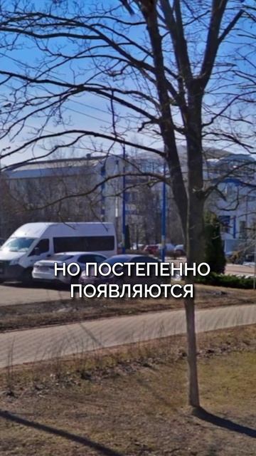 Самый ЗЕЛЕНЫЙ город в ПОДМОСКОВЬЕ?! #подмосковье #квартира #недвижимость