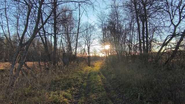 За городом. ч.2. Ноябрь 2025 смотреть онлайн