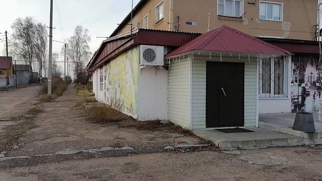 17.11.2025. Сосновские виды