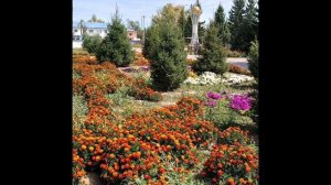 Моё село...Самарское...mp4