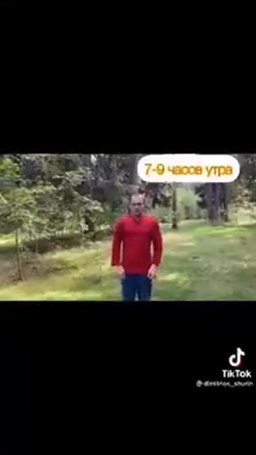 точка Е-36. Массируйте кремом Хондро хотя бы 2 минуты в день и будьте здоровы! смотреть онлайн