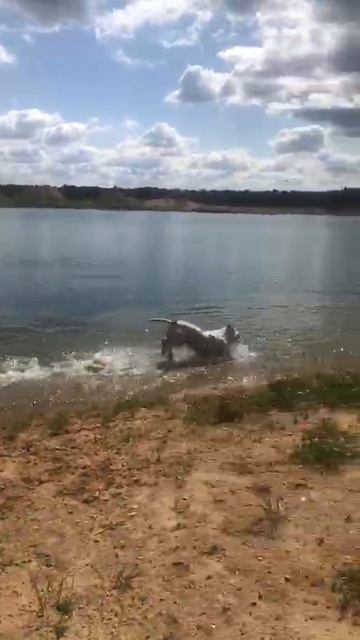 Серафим летом на даче