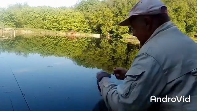 Прудовая ловля уклейки.