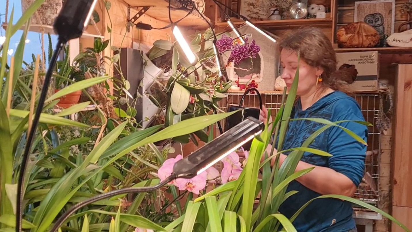 Ветер перемен,неудавшаяся работа и новый проект смотреть онлайн