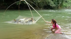 Ловлю рыбу сетью в половодье. Хороший улов сегодня. Жизнь во Вьетнаме