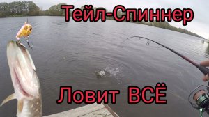 Тейл-Спиннер приманка номер 1 Спиннинг Осенью Ноябрь.