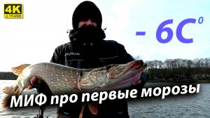 Миф про первые морозы. Дикий клёв ЩУКИ