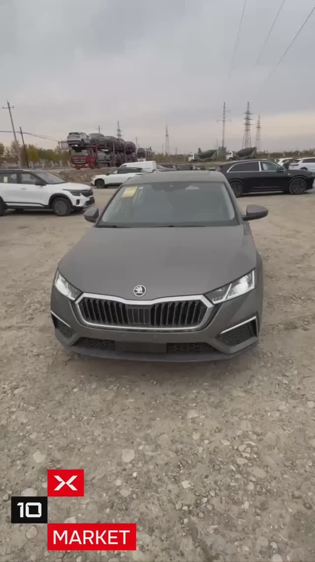 ОБЗОР SKODA OCTAVIA PRO TSI 280 LUXURY смотреть онлайн