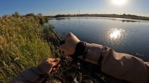 Ловля щуки и окуня / YAMAGA BLANKS BLUECURRENT 73 All-range TZ/NANO Professor/ ЧАСТЬ 2