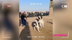 Косон туманида ўтказилган тезкор тадбир давомида қимор ва таваккалчиликка асосланган ноқонуний ўйин