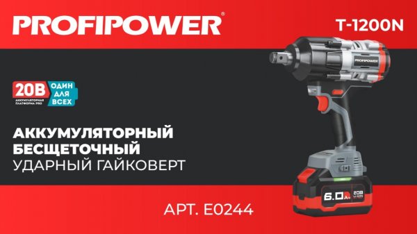 Аккумуляторный бесщеточный ударный гайковерт PROFIPOWER T-1200N 
Артикул E0244
