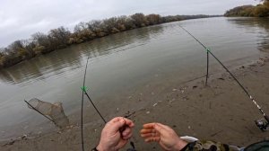 Рыбалка на Кубани станица Фёдоровская 16.11.25.