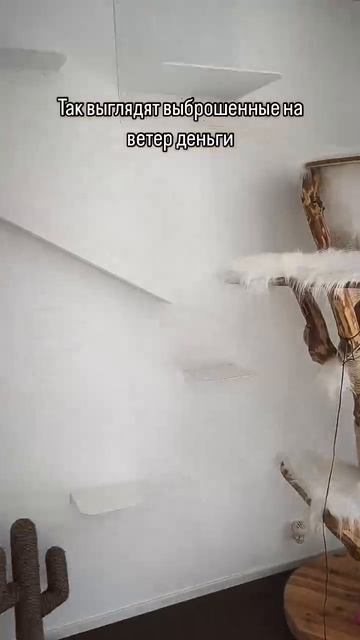 Деньги на ветер... смотреть онлайн