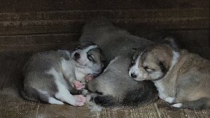 По приезду сюрприз