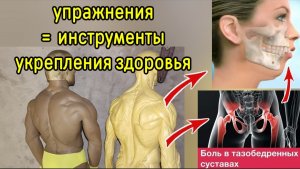 Тройная цепочка нарушений: прикус, шея, тазобедренные. Упражнения для мышц атланта, челюсти, таза