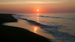 Песня «Камчаточка, Камчатка над вулканами полёт». 17 ноября 2025г.