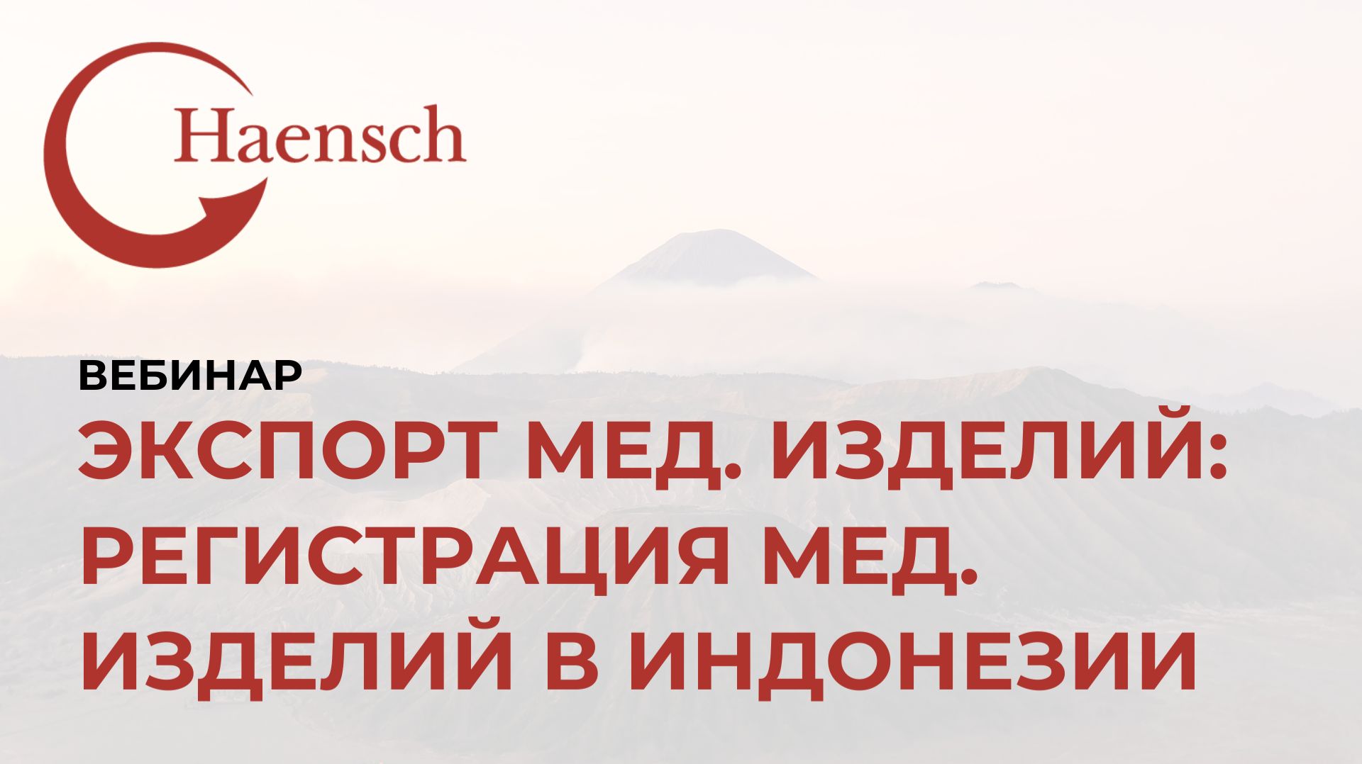 Экспорт мед. изделий: регистрация медицинских изделий в Индонезии - Вебинар Haensch