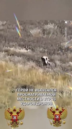 СВО👉ЖМИ (КАДРЫ 21+)👈