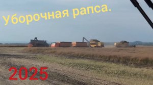 Уборочная рапса. Часть 2. Торум785.