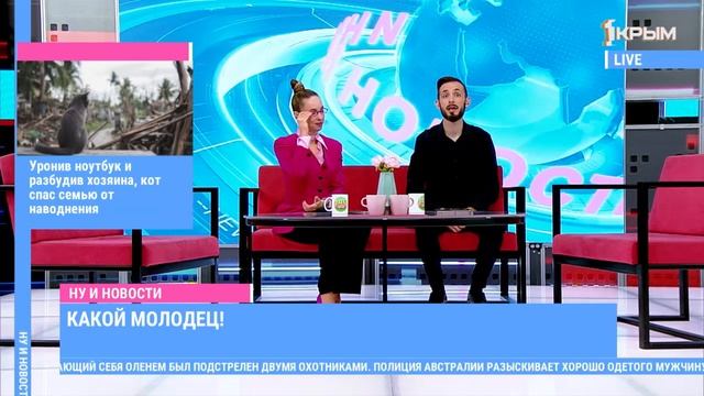 Ну и е новости Выпуск от 17.11.25 смотреть онлайн