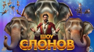 Шоу слонов «Девочка и слон»