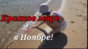 Первый раз в жизни на Красном море!🌊Египет!🇪🇬🌴
