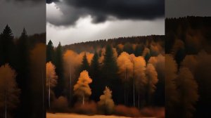 Мёртвые листья