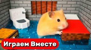 УМНЫЙ ХОМЯК ВЫБИРАЕТСЯ ИЗ СЕКРЕТНОЙ ТЮРЬМЫ С ЛОВУШКАМИ 🐹🐹 ВИДЕО ПРО ХОМЯКА ДЛЯ ДЕТЕЙ