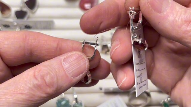 ФЛОРА И ФАУНА В СЕРЕБРЕ 🍀 18.11.2025 смотреть онлайн