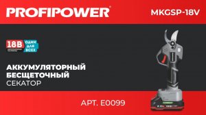 Аккумуляторный бесщеточный садовый секатор PROFIPOWER MKGSP-18V